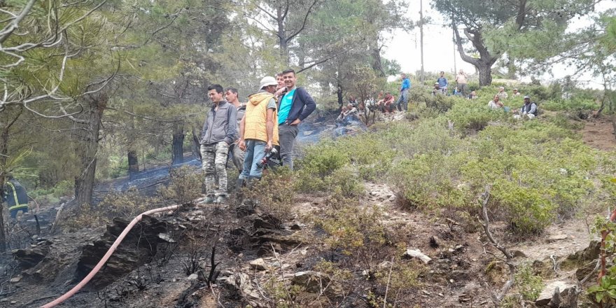 Mersin’de orman yangını büyümeden söndürüldü