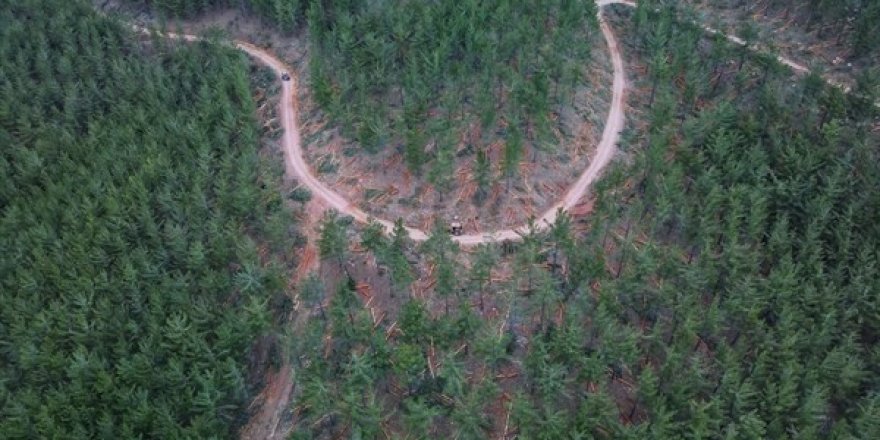 Karaisalı’da yangın emniyet yolları ve şeritleri yapıldı