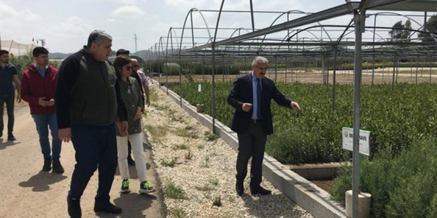 Yılmaz: "8 milyon fidan üreteceğiz"