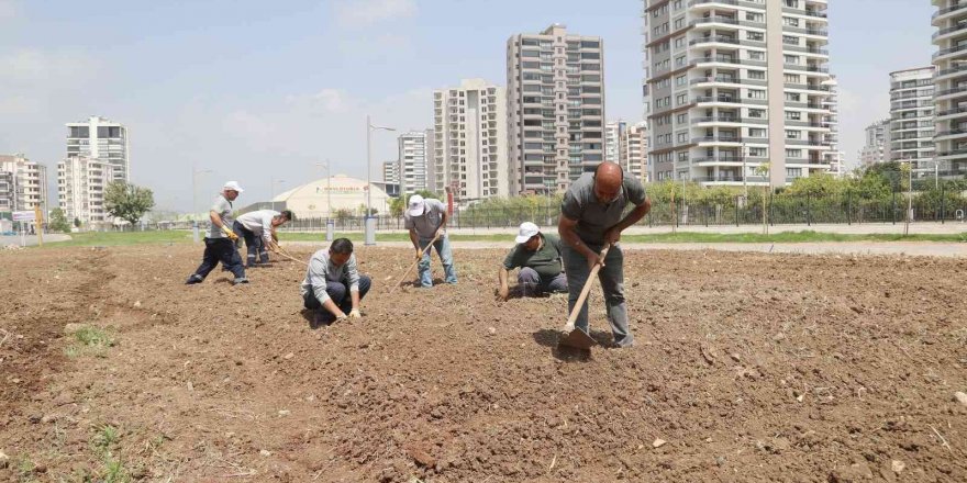 Mezitli’de ihtiyaç sahipleri için sebze bahçesi