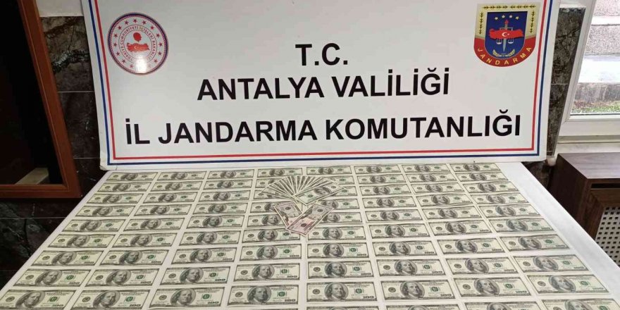 Antalya’da sahte dolar operasyonu: 2 gözaltı