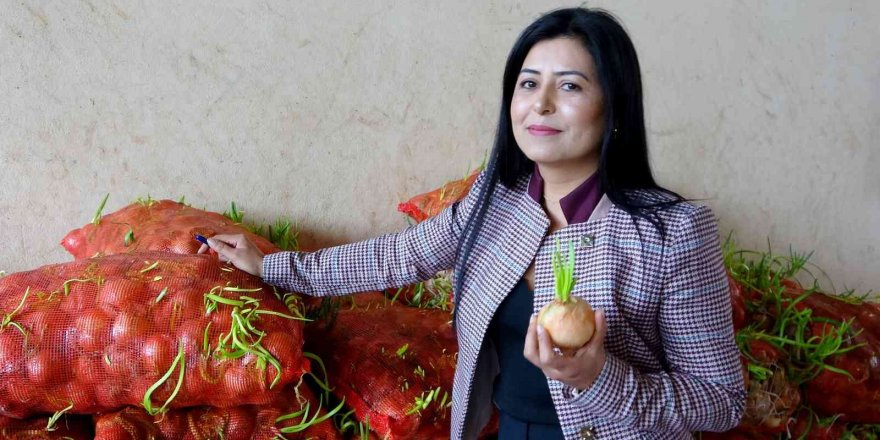 Çimlenmiş soğan, patates ve sarımsak seferberliği