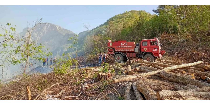 Hatay’da çıkan orman yangını söndürüldü