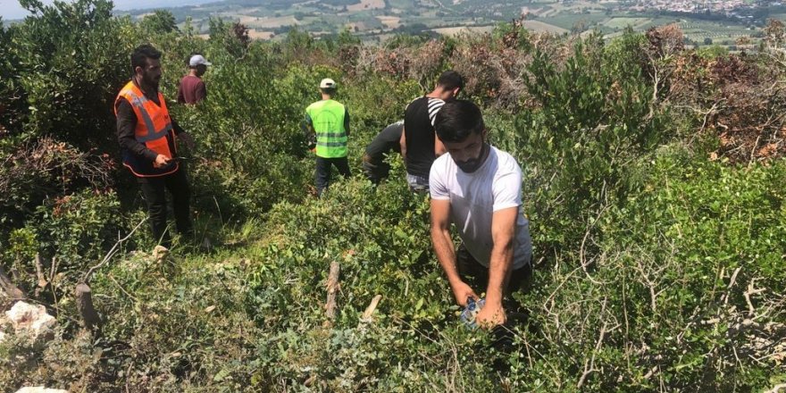 Defne, TÜRKPATENT tarafından ‘Türk’ ibaresi ile tescillenen ilk ürün oldu