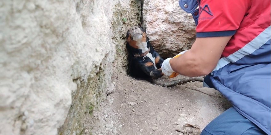 Tilkinin peşinden girdikleri obrukta sıkışan köpekleri itfaiye kurtardı