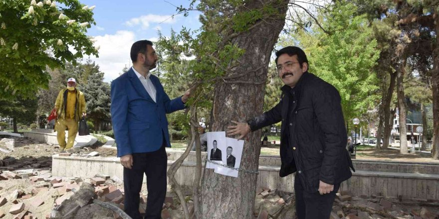 Burdur Belediyesinin kestiği yarım asırlık çam ağaçları için zincirli eylem