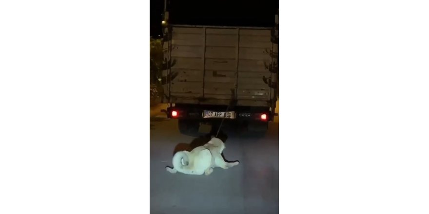 Köpeği kamyonun arkasına bağlayan vicdansız sürücüye para cezası ve adli işlem