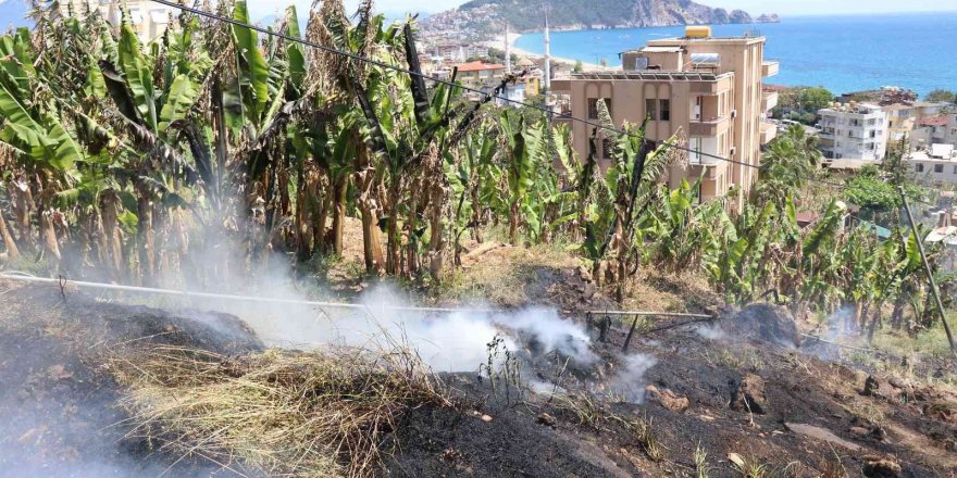 Boş arazide çıkan yangın muz bahçesine sıçramadan söndürüldü