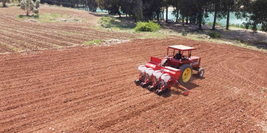 Tarsus Belediyesinden hayvan besicilerine silajlık mısır desteği