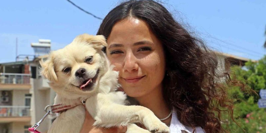 Marketteki köpeğe sebepsiz yere tekme attı, kamera kaydını izleyen genç kadının ağzı açık kaldı