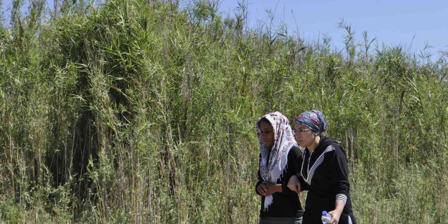 Ceyhan Nehri’nde kaybolan çocuk 3 gündür aranıyor