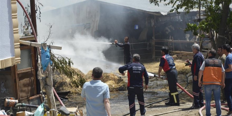 Samanlar tutuştu, mahallede panik yaşandı