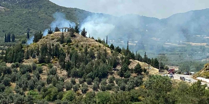 Antalya’da orman yangını büyümeden söndürüldü