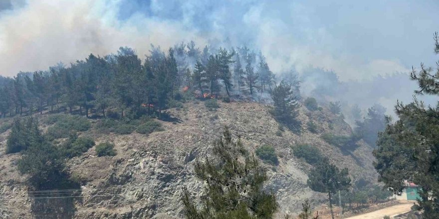 Hatay’da orman yangınına karadan ve havadan müdahale