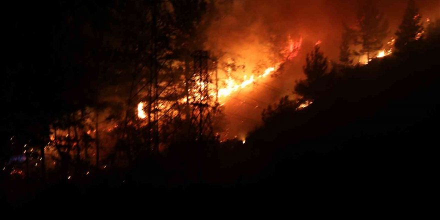 Alanya’da orman yangınında 3 dekar alan zarar gördü