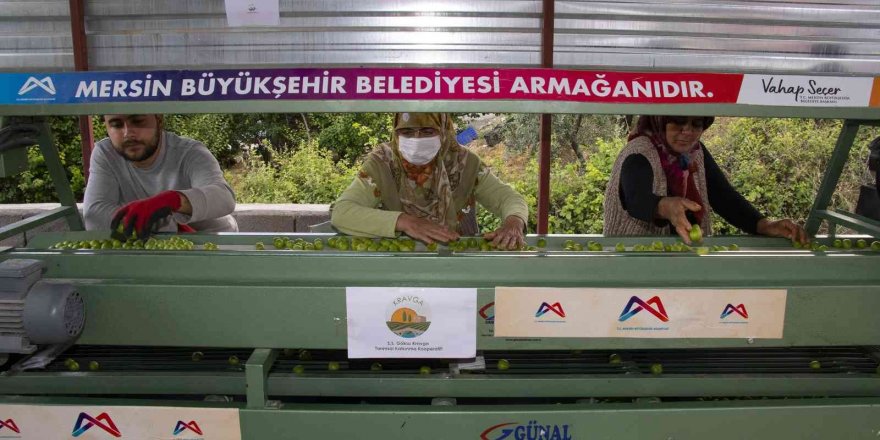 Büyükşehir Belediyesinden Mut’a bir erik boylama makinesi daha