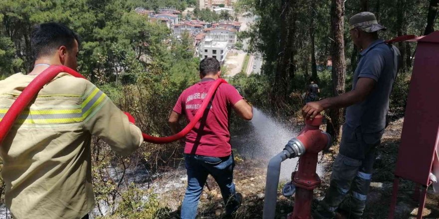 Ormanlık alanda çıkan yangın büyümeden söndürüldü