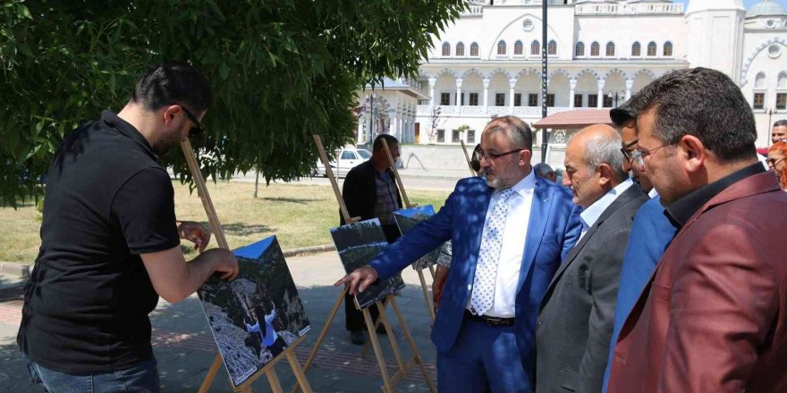 Usta fotoğrafçıların eserleri sergileniyor