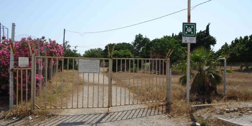 Gençler saha bulamazken terk edilen stadı kurumuş ot ve dikenler kapladı