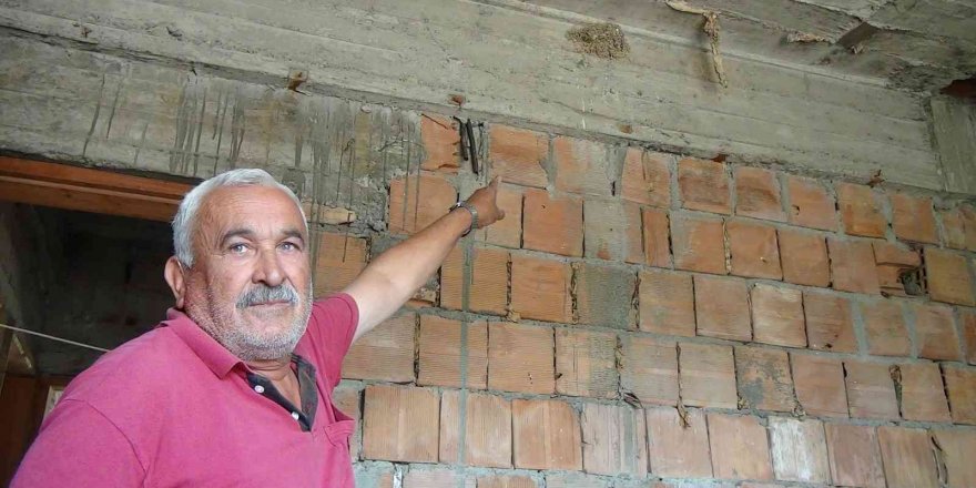 İnşaattaki kuş yuvasından beyaz kırlangıç çıktı, görenler şaştı kaldı