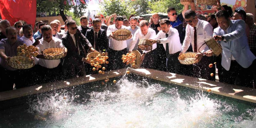 Mut Karacaoğlan Kayısı Festivali renkli anlara sahne oldu