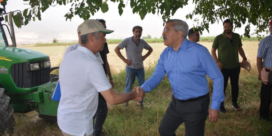 Amik Ovası’nda buğday hasadı başladı