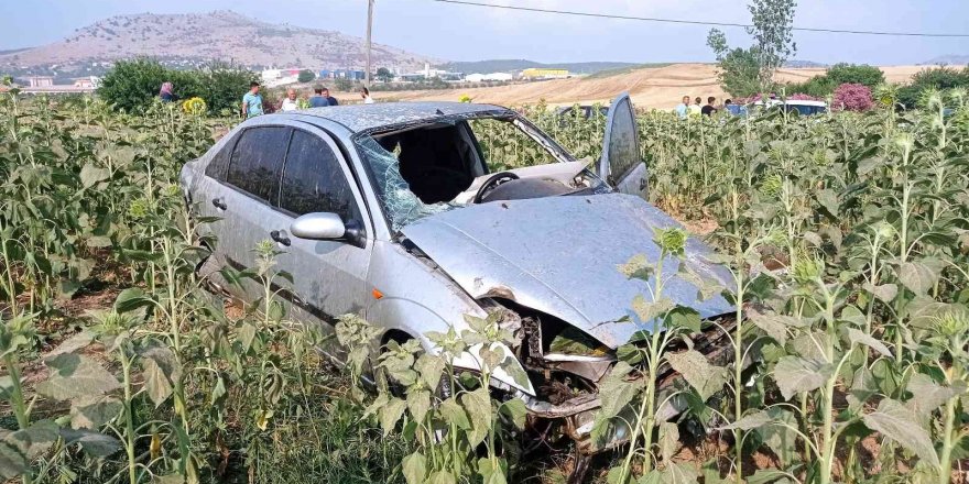 Otomobil ayçiçek tarlasına uçtu: 1 yaralı