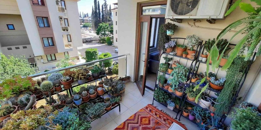 Antalya’nın en güzel balkon bahçe ve terasları belirlendi