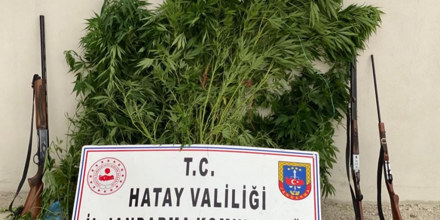 Hatay’da uyuşturucu operasyonu