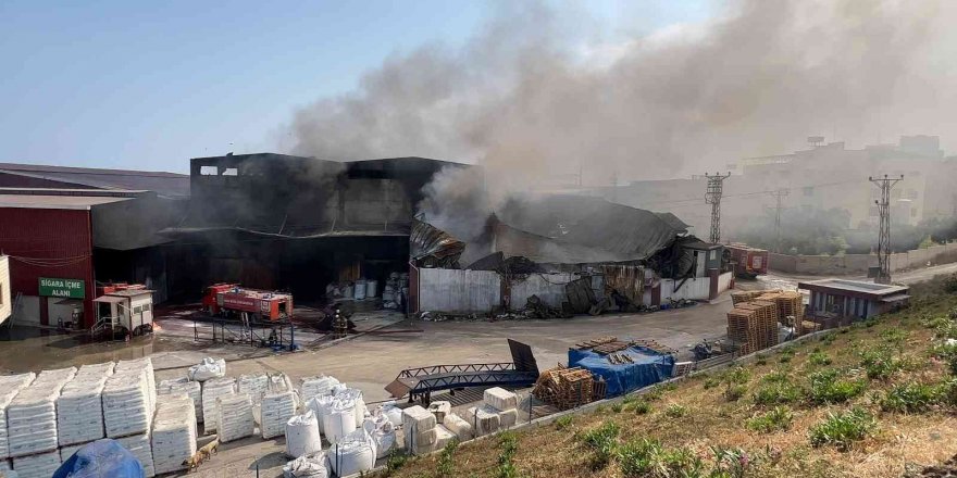 Hatay’da antrepoda çıkan yangın kısmen kontrol altına alındı