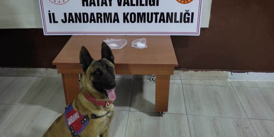 Hatay’da uyuşturucu operasyonu: 5 gözaltı