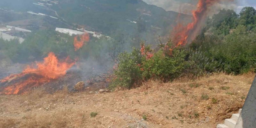 Alanya’da tarım arazisinde başlayan yangında 10 dönüm zarar gördü