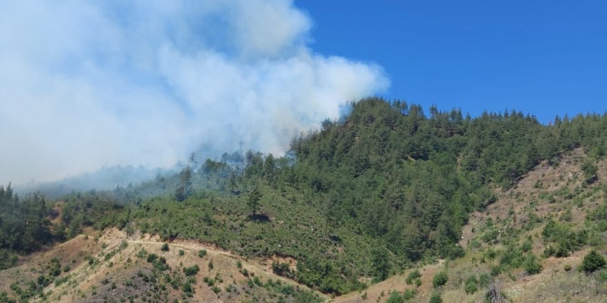 Kahramanmaraş’ta orman yangını