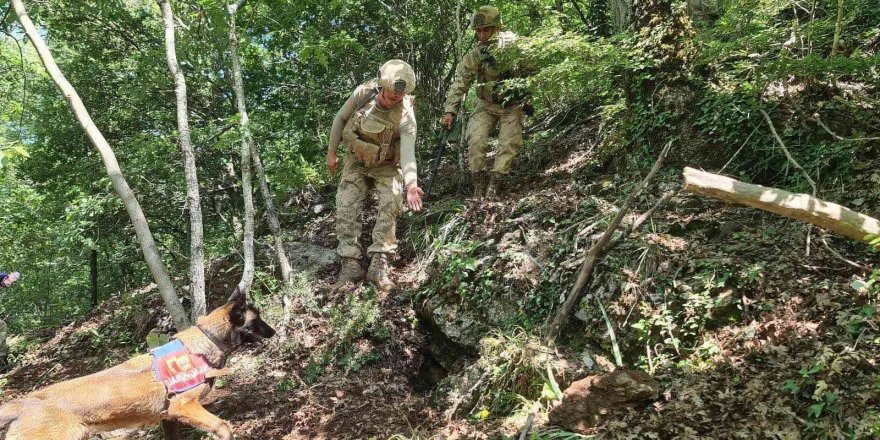 Hatay’da Amanoslar kırsalında tuzaklanmış patlayıcı imha edildi