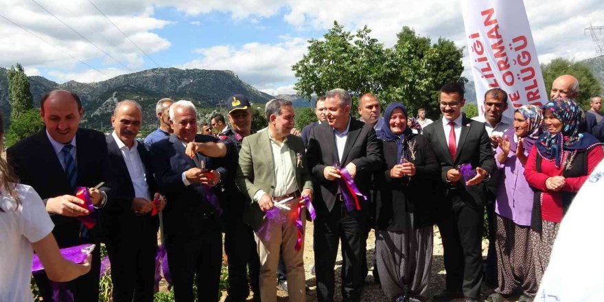 Adana’da Tapan 1. Turizm ve Lavanta Festivali kadınların başarısı damga vurdu