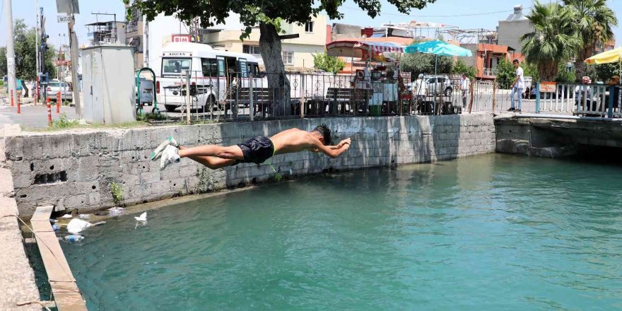 Polisler ölümleri engellemek için harekete geçti