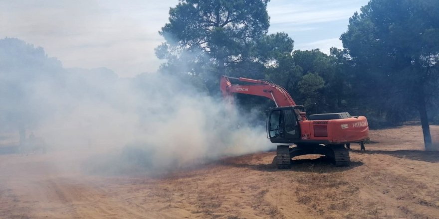 Manavgat'ta orman yangını çıktı !