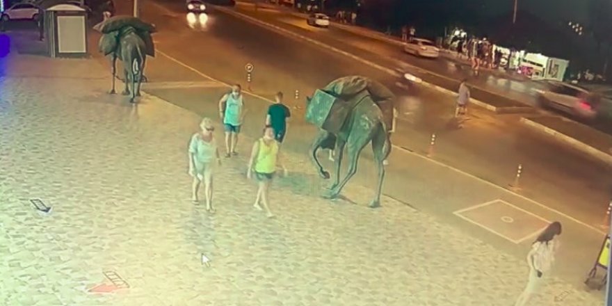 Silahlar evin balkonundan çıktı !