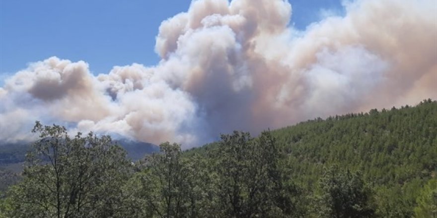 Mersin’de ormanlık alanlara girişler 31 Ağustos’a kadar yasaklandı