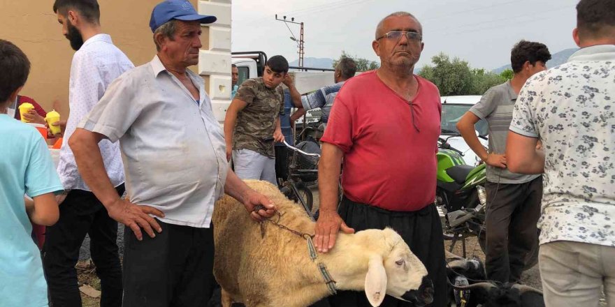 Adanalılar kurbanlıkları akşam serinliğinde aldı