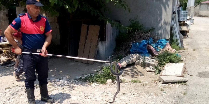 Osmaniye’de eve giren yılanı itfaiye yakaladı