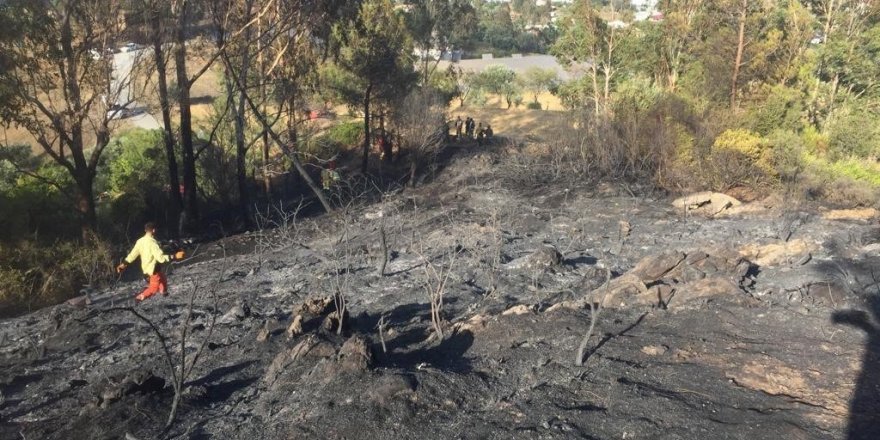 Anamur’da tarımsal alandaki yangın ormana 100 metre kala söndürüldü