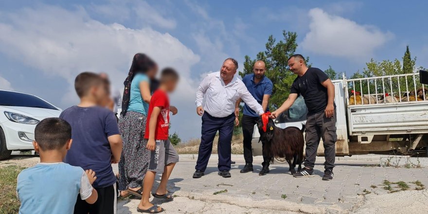 Kadirli’de ihtiyaç sahibi ailelere kurbanlık dağıtıldı