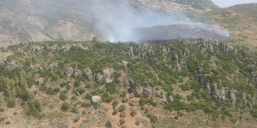 Hatay’da makilik alanda yangın çıktı