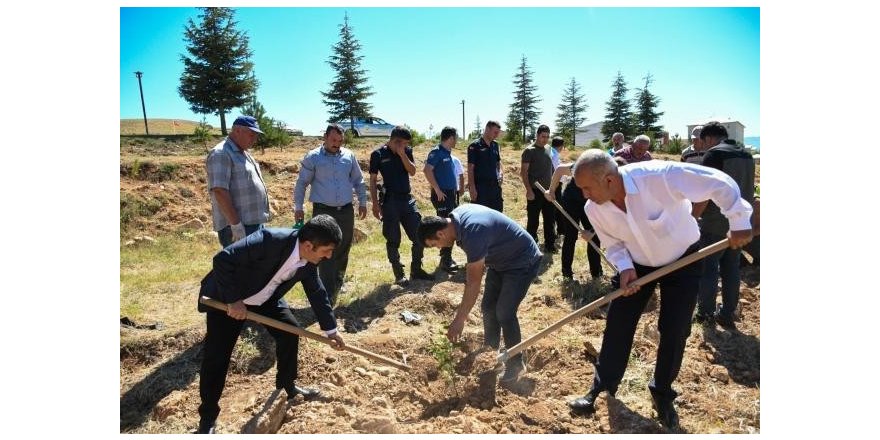 Tufanbeyli’de 15 Temmuz’da fidanlar toprakla buluştu