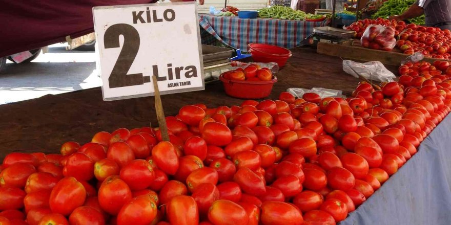 Adana’da domatesin kilosu 2 liraya düştü