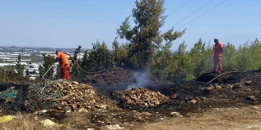 Antalya’da ormanlık alanda çıkan yangın korkuttu