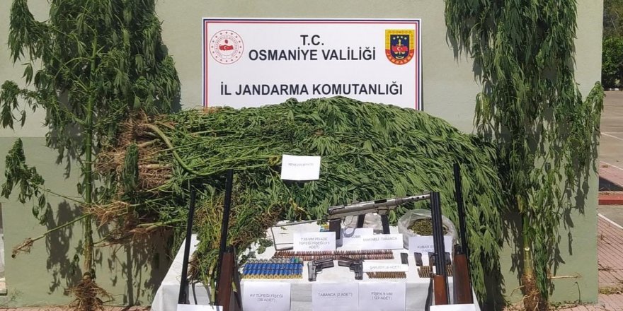 Osmaniye’de uyuşturucu operasyonuna 1 tutuklama