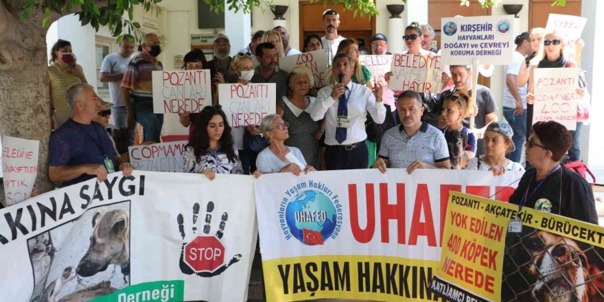 Hayvanseverler 400 köpeğin akıbetini sordu