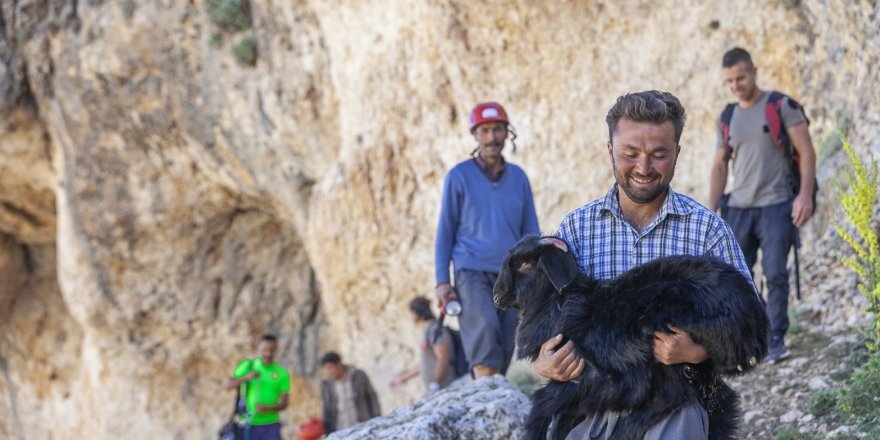 Mersin’de 15 metrelik obruğa düşen keçiyi itfaiye kurtardı